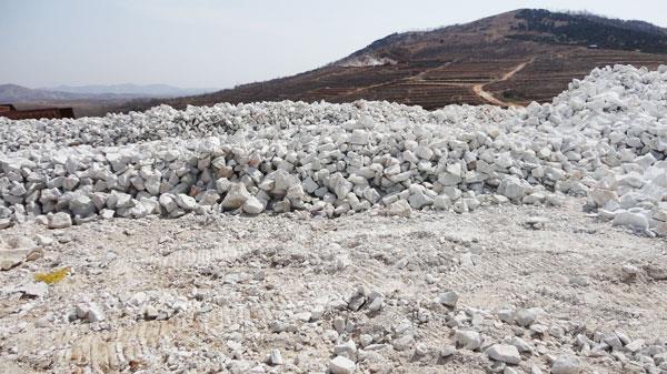 ײüʵ300Ŀʯĥ۹աĴ