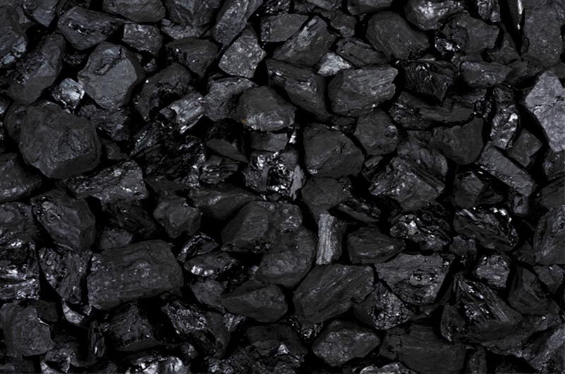 ̫ʪǶϣ˫ʺϸʪϼӹ